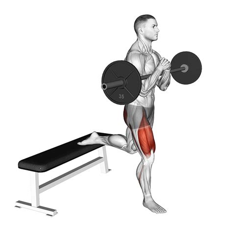 bulgarian split squats rep range